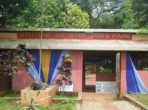 welcome to Ogbazoo