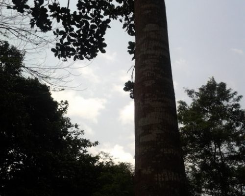 20130222_131835 20130222_131835