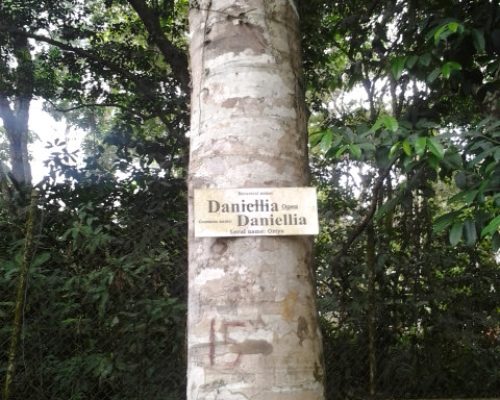 20130222_132037 20130222_132037