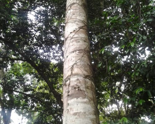 20130222_132039 20130222_132039