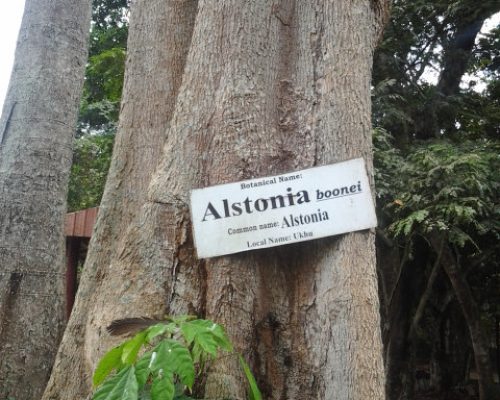 20130222_133039 20130222_133039