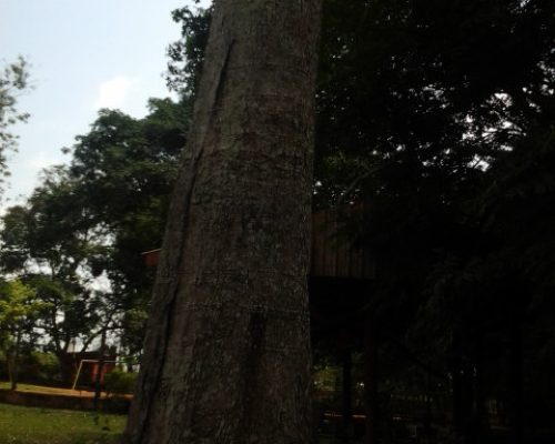 20130222_133048 20130222_133048