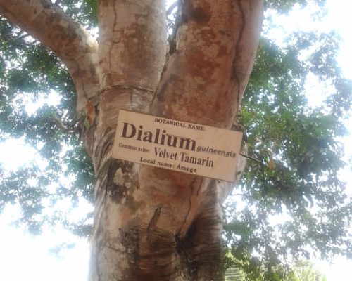 20130222_133525 20130222_133525