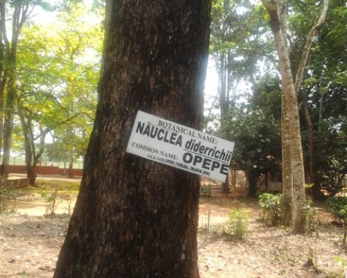 20130222_133632 20130222_133632