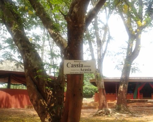 20130222_133733 20130222_133733