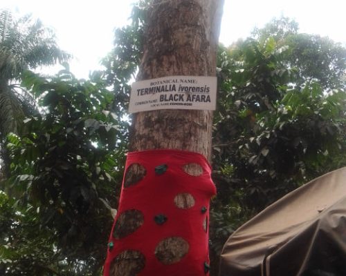 20130222_135239 20130222_135239