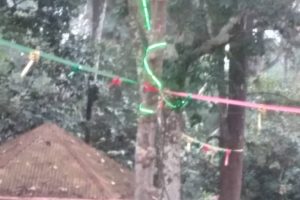 Yultide look11 Yultide look11