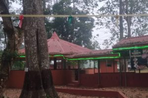 Yultide look13 Yultide look13