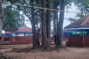 Yultide look14 Yultide look14