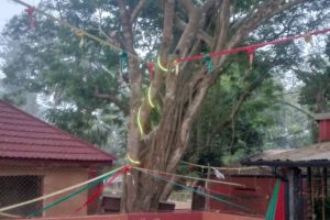 Yultide look15 Yultide look15