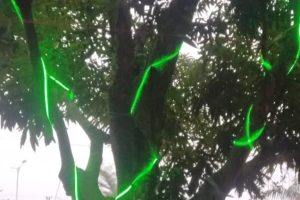 Yultide looknight1 Yultide looknight1