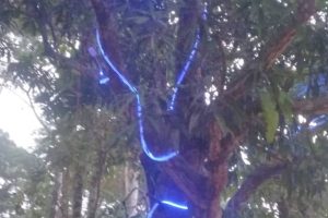 Yultide looknight2 Yultide looknight2