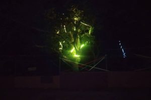 Yultide looknight3 Yultide looknight3