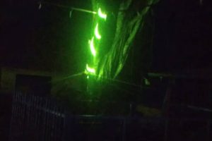 Yultide looknight4 Yultide looknight4