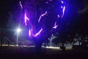 Yultide looknight9 Yultide looknight9