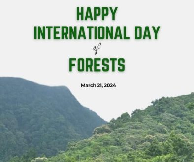international forest day-2