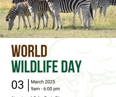 World Wild LifeDay