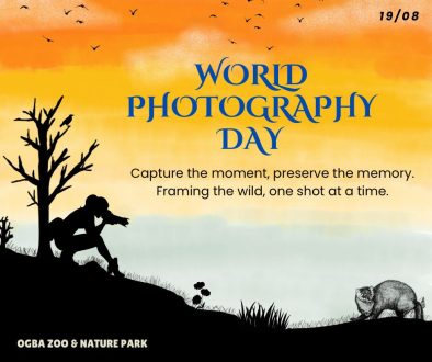 world photgraphy day2