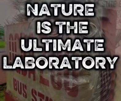 nature is the ultimate labour